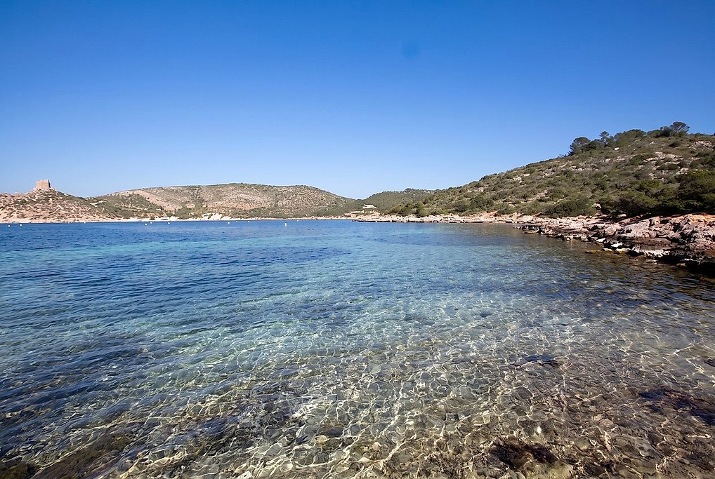 Cabrera Fast Tour from Colonia de Sant Jordi