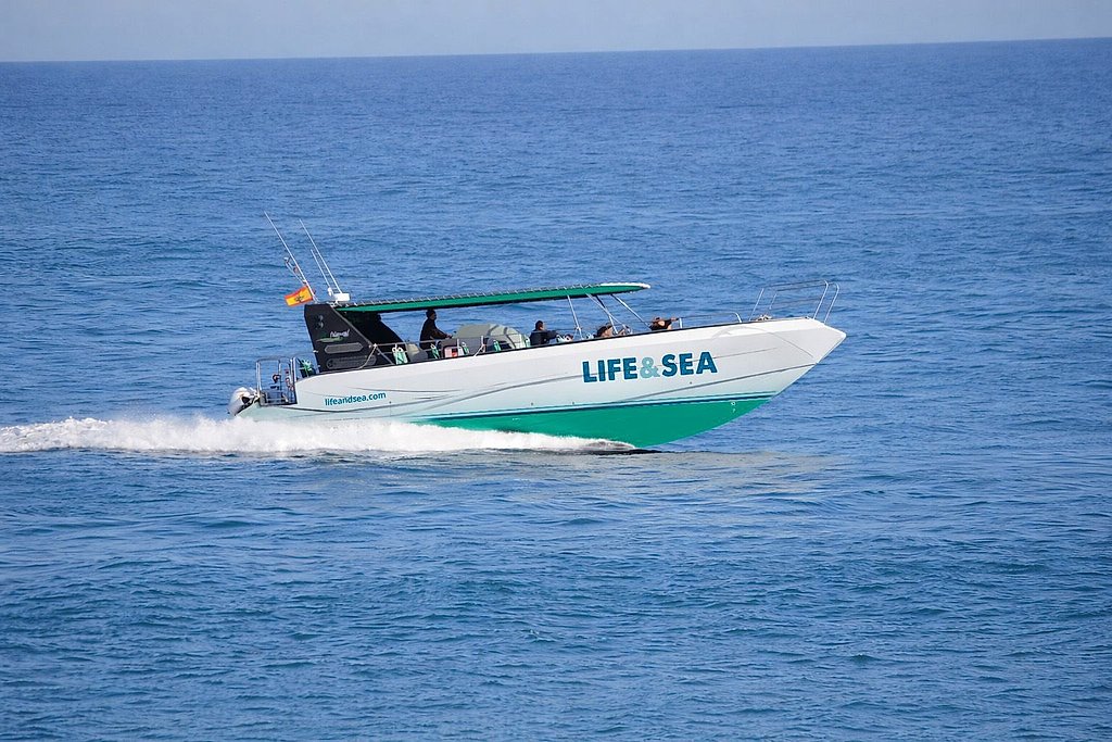 Beach Taxi from Arenal and Can Pastilla to Es Trenc