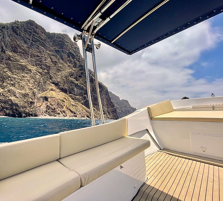 Private Madeira Boat Trip Aboard Dipol 2019