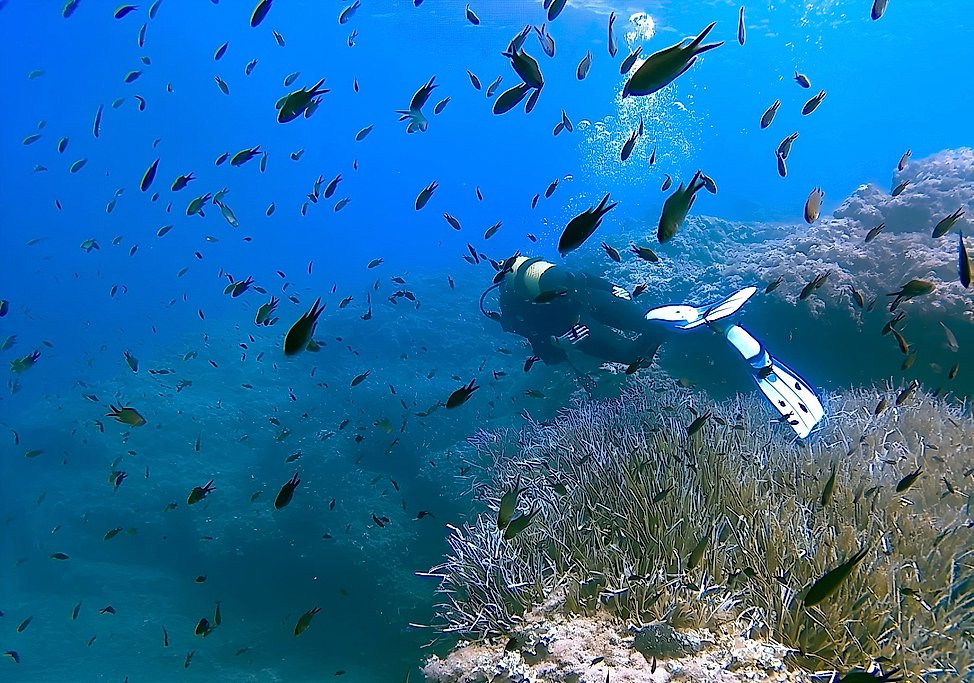 Discover Scuba Diving in Menorca
