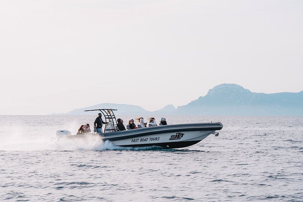 Alcudia Fast Boat Tours for Dolphins and Sunset