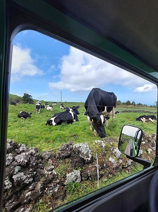 Half-Day Jeep Tour Across Lagoa do Fogo