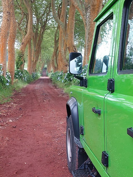 Close-up of a green 4x4 vehicle on a red dirt lane lined with tall trees and hydrangeas