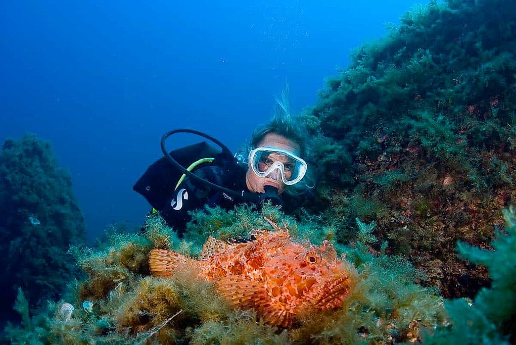 Southwest Mallorca Diving with Certified and Beginner Options