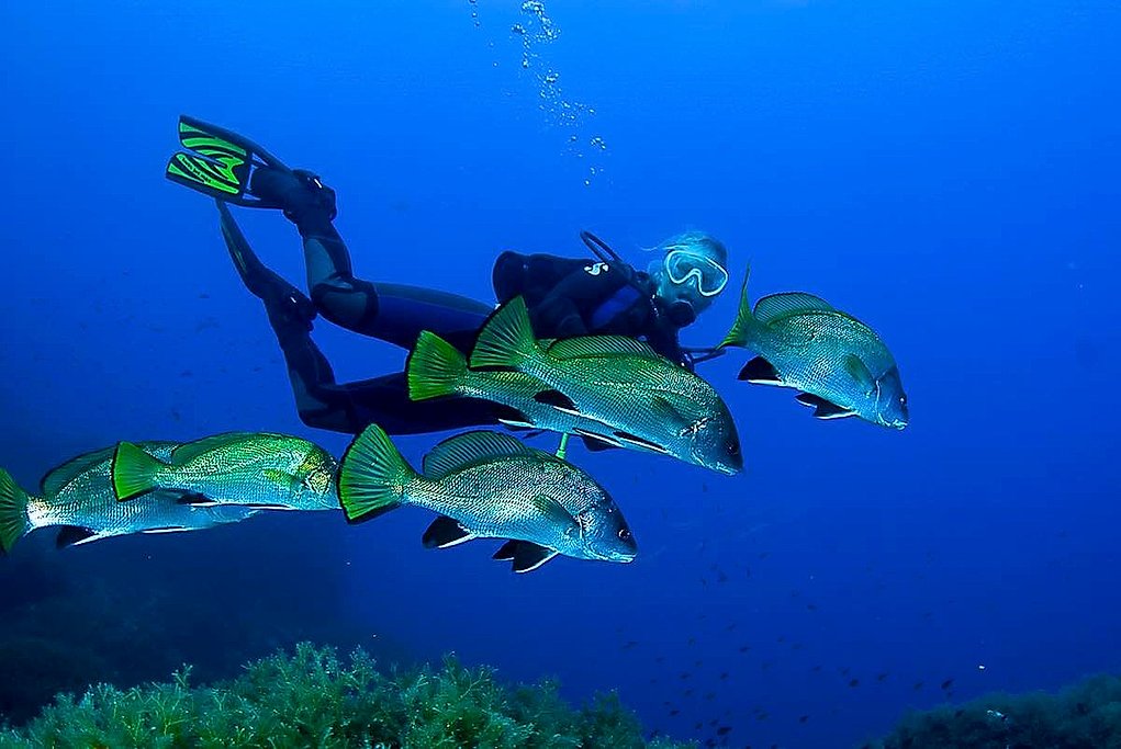 Southwest Mallorca Diving with Certified and Beginner Options