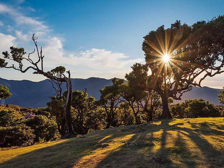 West of Madeira Island Tour