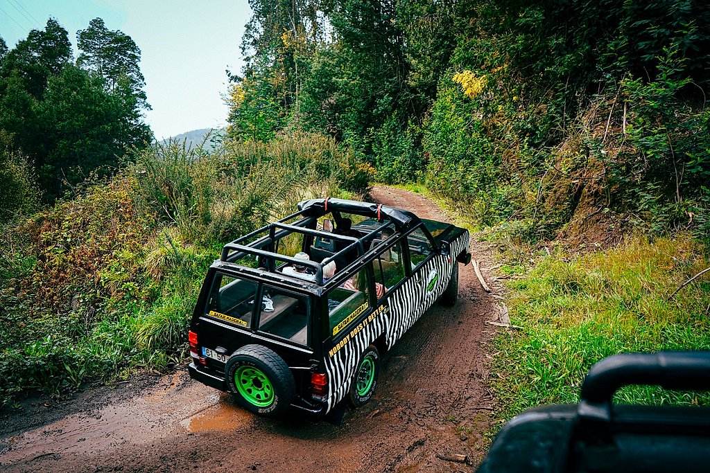 Madeira Half Day Central Jeep Safari