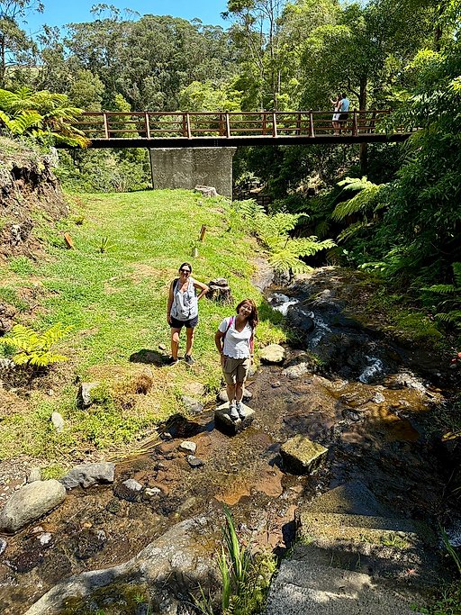 Half Day Terceira Island 4x4 Jeep Adventure Tour