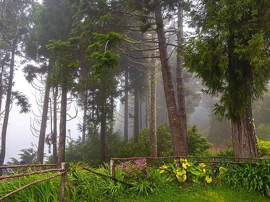 Ribeiro Frio to Portela Full Day Hike