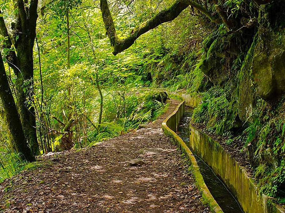Ribeiro Frio to Portela Full Day Hike