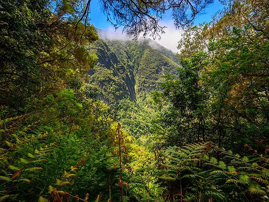 Queimadas Caldeirão Verde Full-Day Hike Madeira