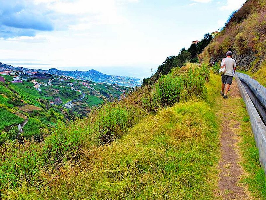 Levada do Estreito Wine Walk in Madeira