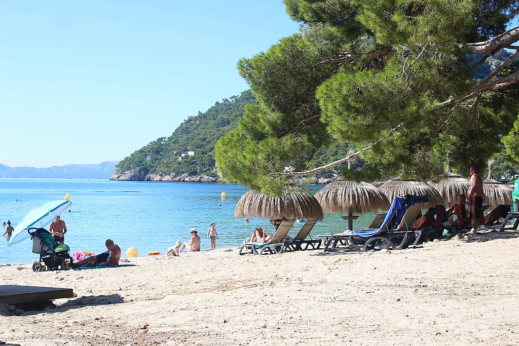 Formentor and Pollensa Tour from Palma