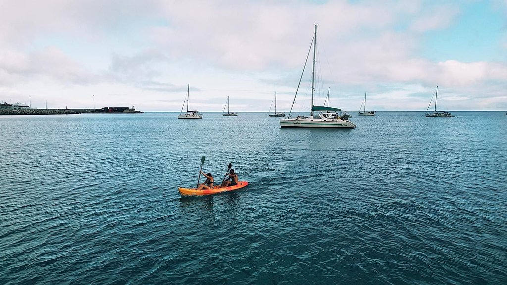 Private Half-Day Catamaran in Ponta de São Lourenço