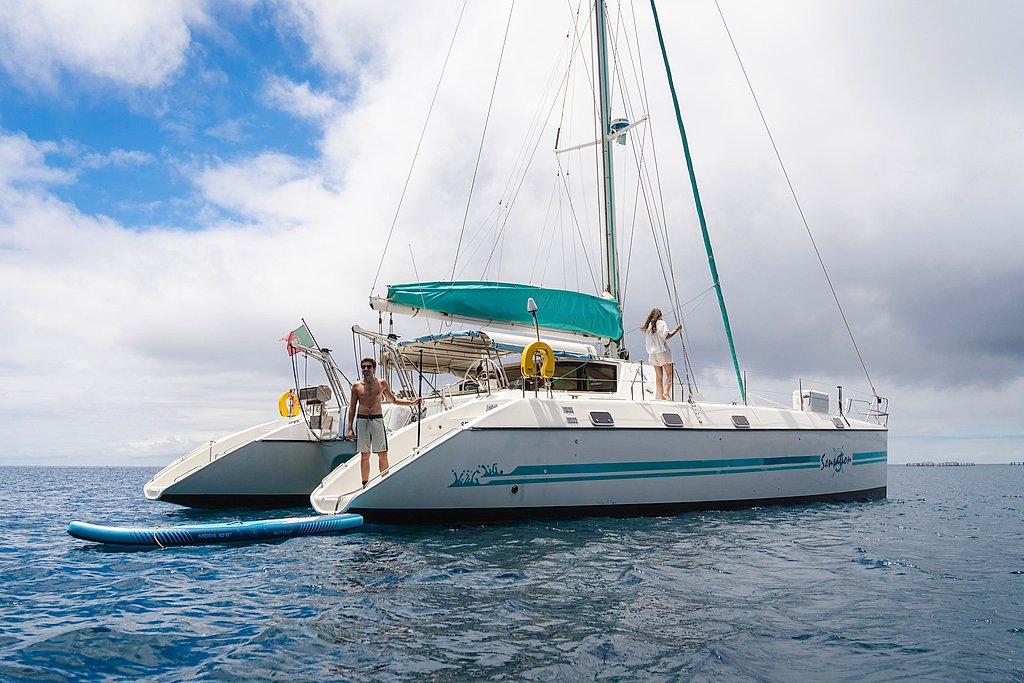 Private Half-Day Catamaran in Ponta de São Lourenço