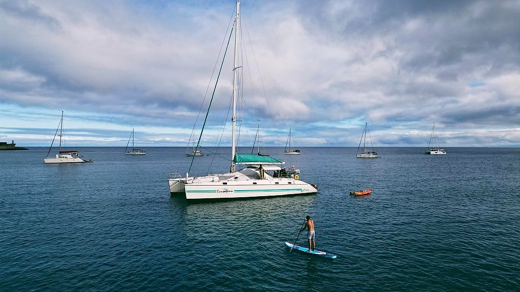 Desertas Islands Private Full-Day Catamaran Trip Madeira