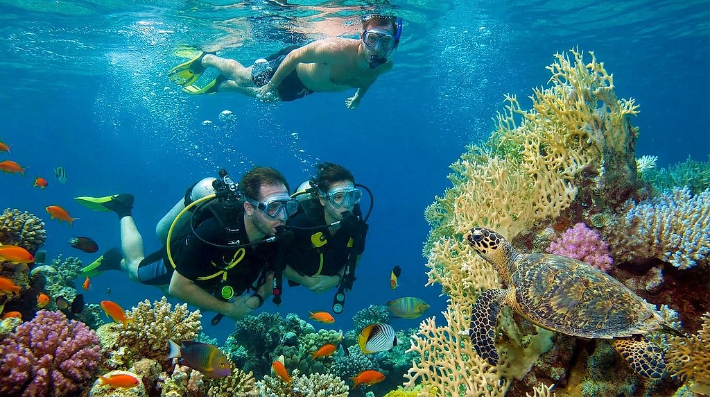 Diving & Snorkeling